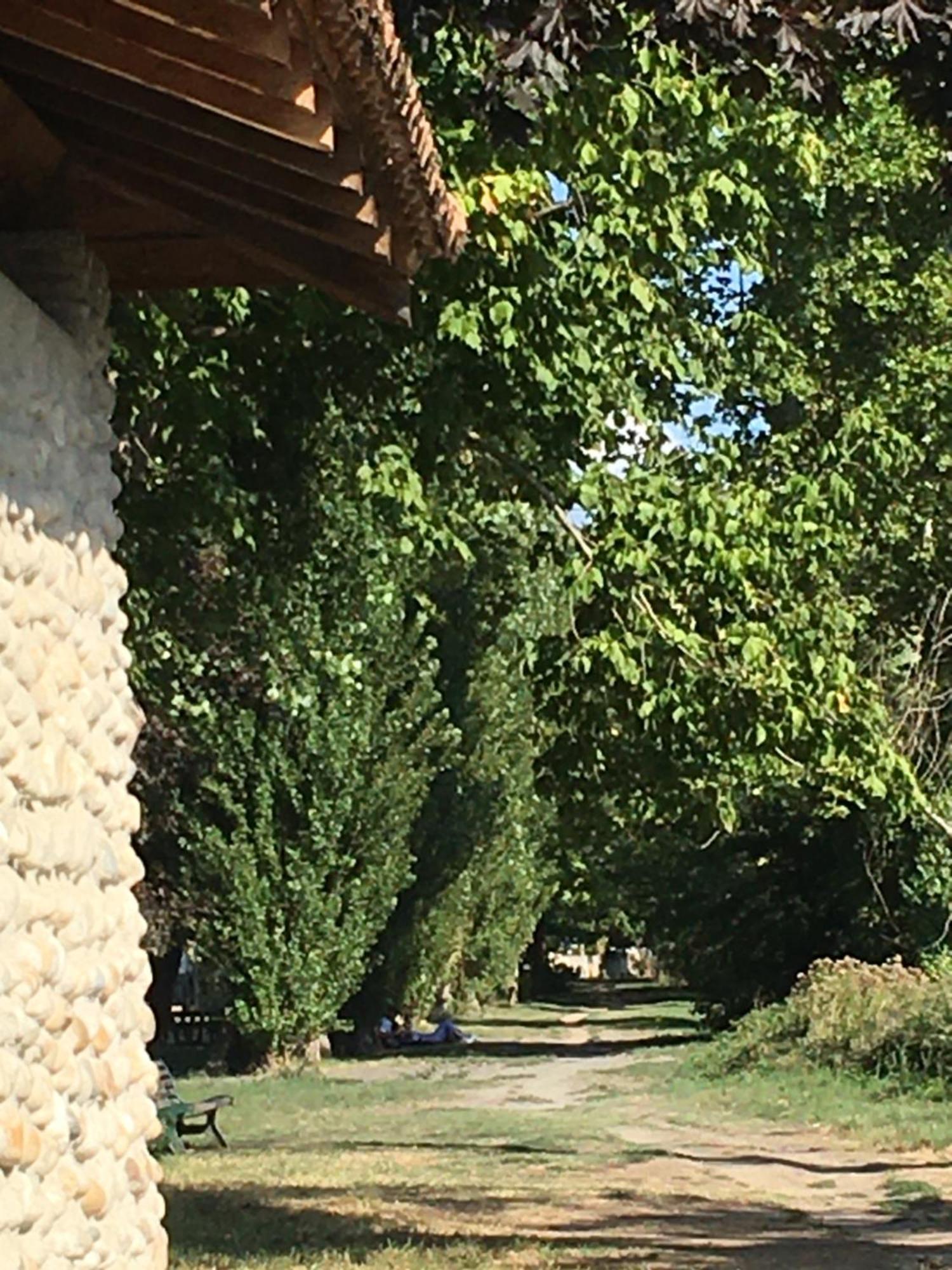 La Villa De Lise Romans-sur-Isère Εξωτερικό φωτογραφία